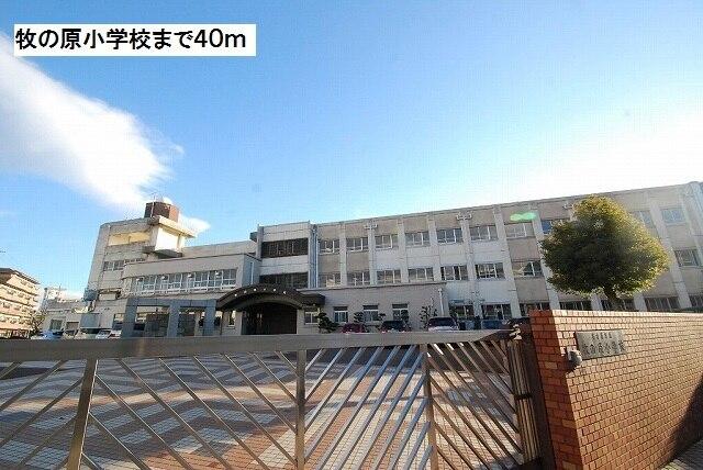 牧の原小学校：40m