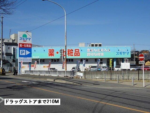 ドラッグスギヤマ：210m