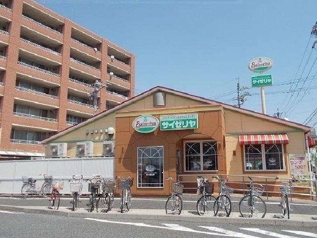 サイゼリア：600m