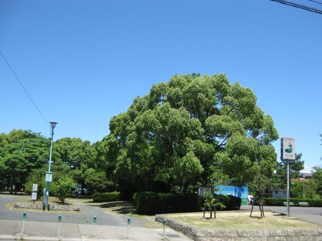 荒子公園：1572m