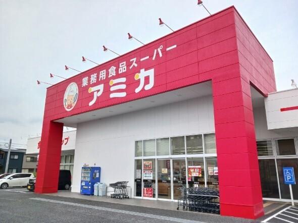 アミカ：270m