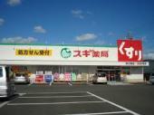 スギ薬局野立橋店：1002m