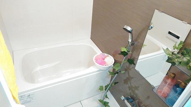 プリメーロ 66（501） 部屋画像