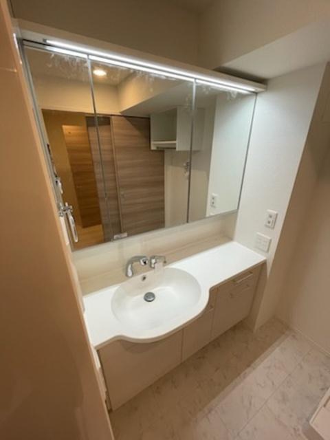 D-room 新今里（302） 部屋画像