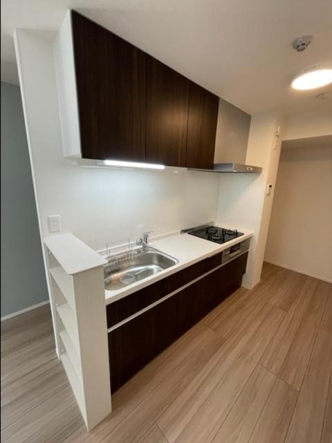 villa pacifico(ｳﾞｨﾗ ﾊﾟｼﾌｨｺ)（202） キッチン