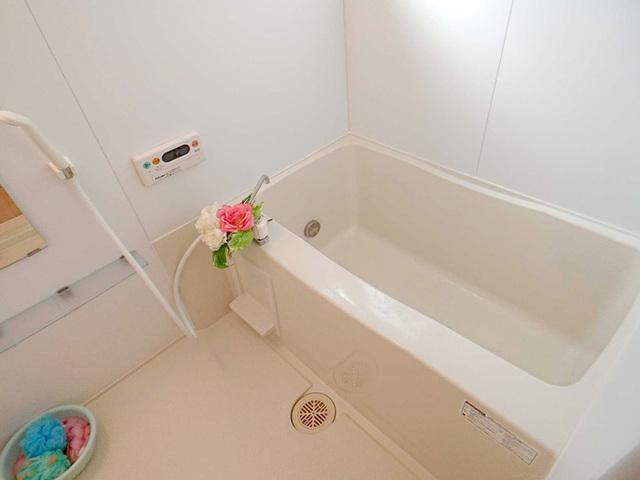 コートハウス　アージュ（307） 部屋画像