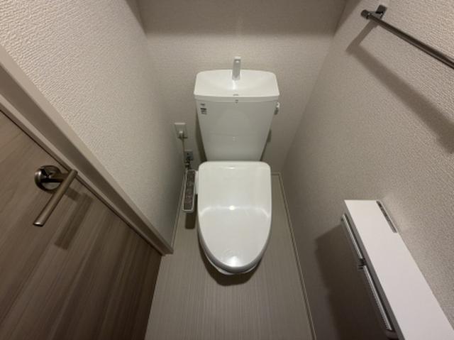 サンクス　ウィズダム（302） トイレ