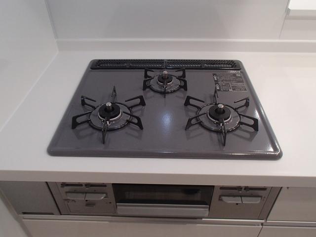 パサログランデ百舌鳥本町3丁（302） 部屋画像