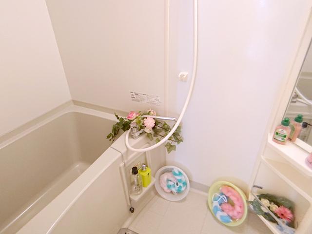 フラワーメゾン　Ｂ棟（B301） 部屋画像