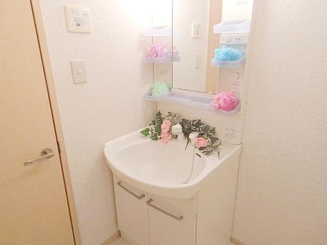 フラワーメゾン　Ｂ棟（B301） 部屋画像