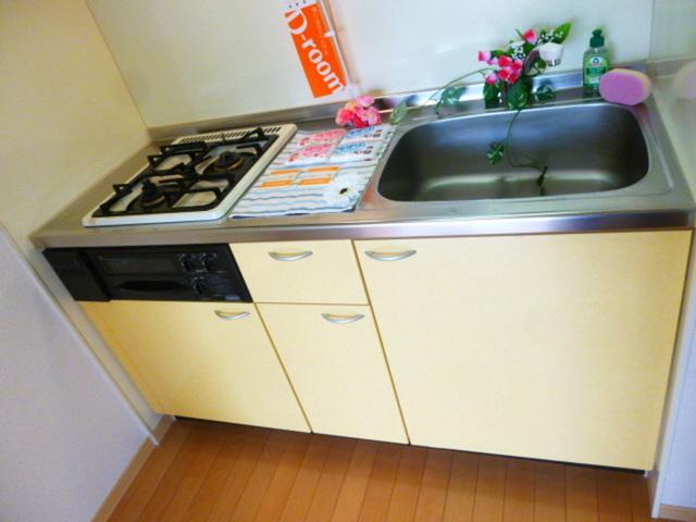 グリーンハイツ西之町（107） キッチン