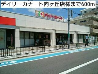 デイリーカナート向ヶ丘店様：600m
