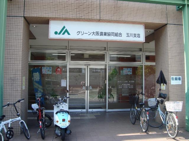 JAグリーン大阪玉川支店：1148m