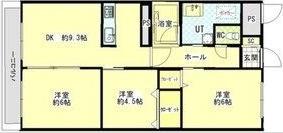 白石グランドハイツ（204） 間取り図画像