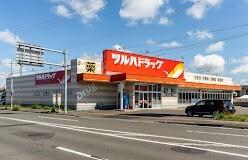 ツルハドラッグ菊水上町店：877m