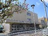 札幌市立東橋小学校：285m