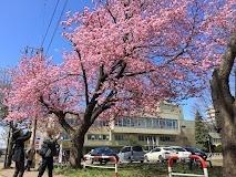 札幌市西区民センター図書室：1094m