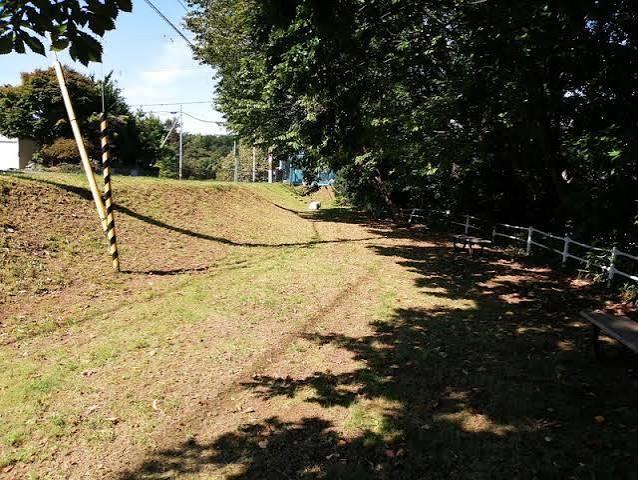 大谷地わらび緑地
