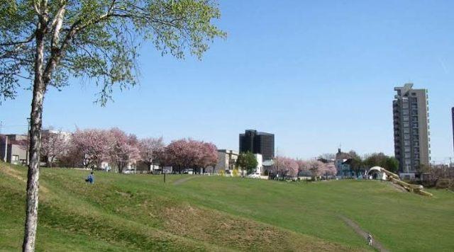 公園