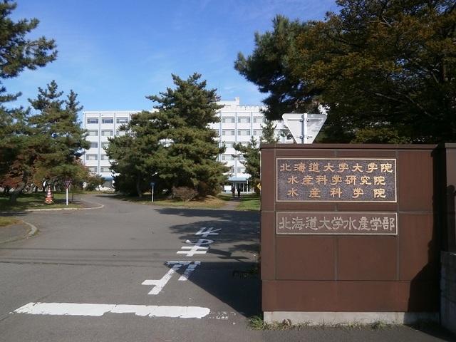 北海道大学 水産学部：1100m