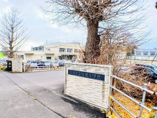 函館市立桔梗小学校：1400m