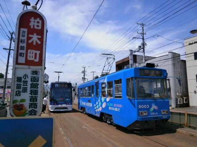 市電柏木町電停：300m
