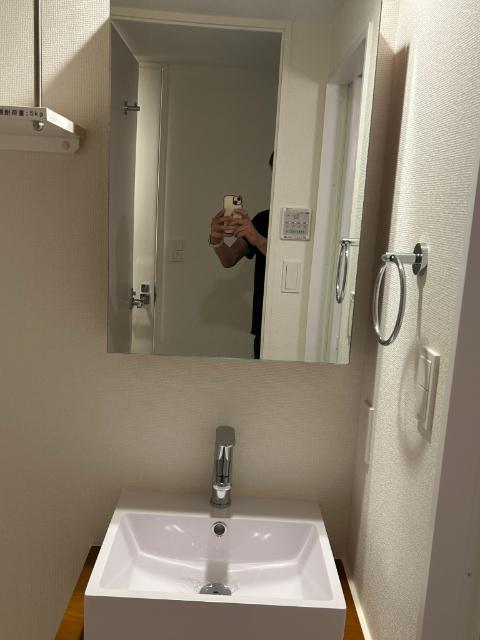アプリーレ西本町（408） 洗面