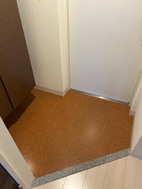 LUXE難波南（1018） 玄関