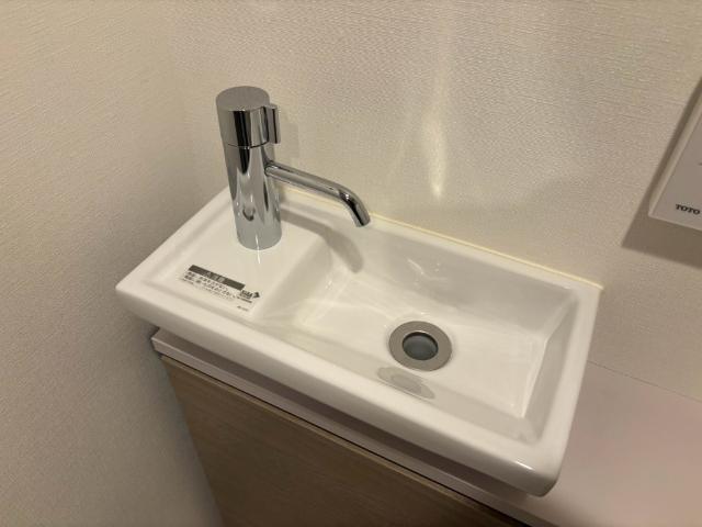 ザ・パークハビオ谷町六丁目クロス（404） 洗面