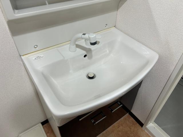 フレンシアノイエ難波南 洗面