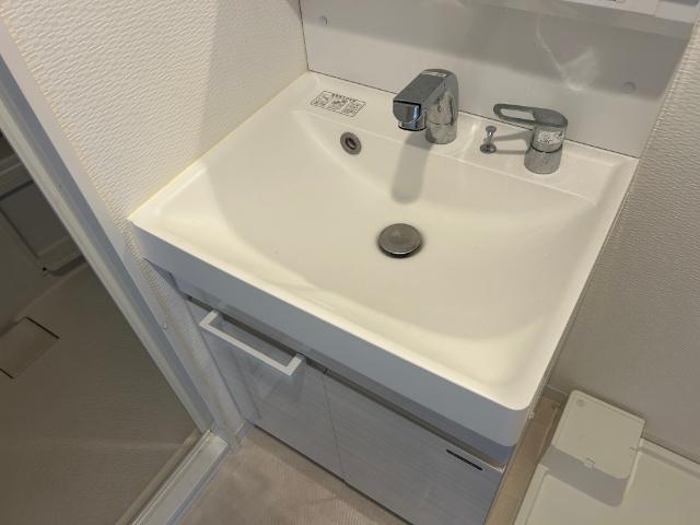 S-RESIDENCE難波大国町Tres 洗面