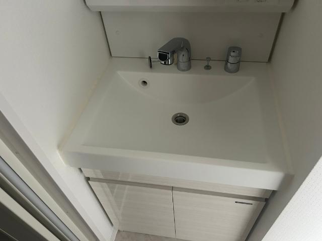 S-RESIDENCE難波大国町Deux 洗面