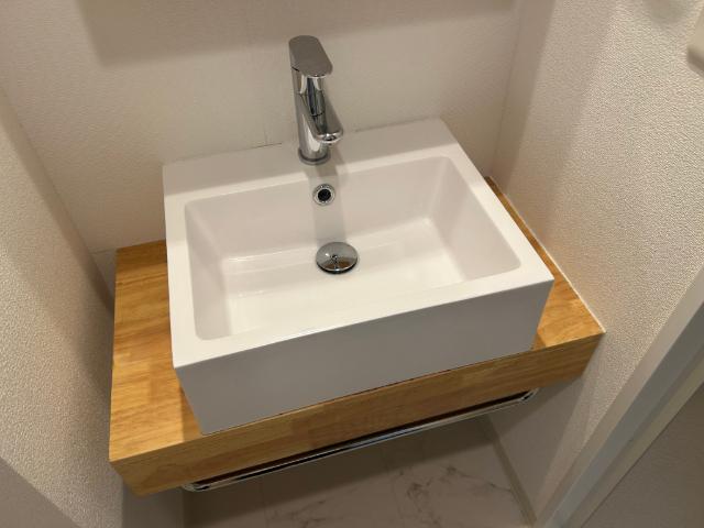 セレニテ心斎橋グランデ（1019） 洗面