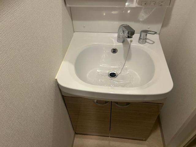 プライムアーバン御堂筋本町（306） 洗面