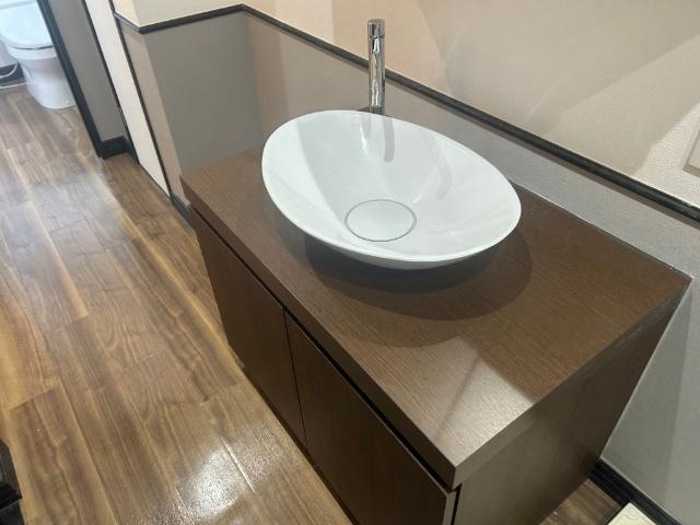 クレアジオーネ中之島西（402） 洗面