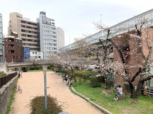 東横堀緑道：628m