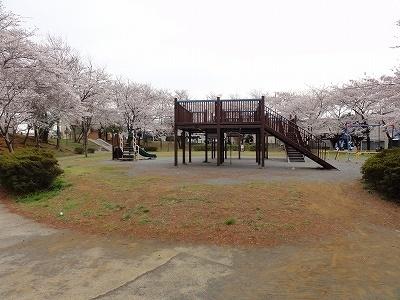 高津公園：770m