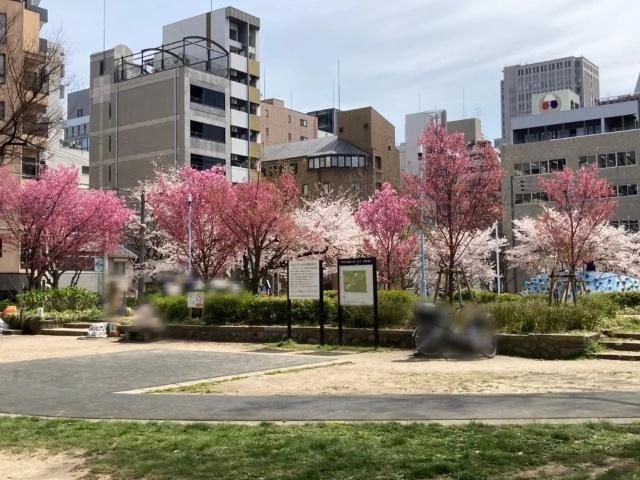 中大江公園：532m