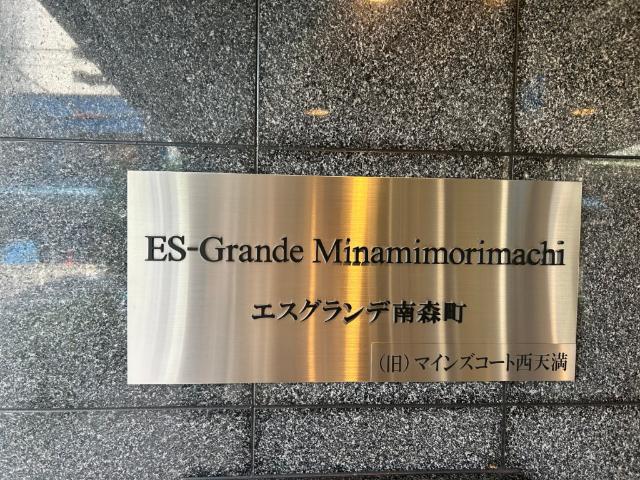 ES-Grande Minamimorimachi エントランス