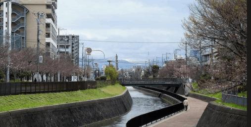 今川緑道