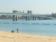 海岸から「新舞子ファインブリッジ」を望みました