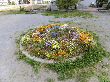 素敵な花壇♪