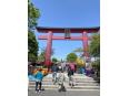 大きな鳥居がお出迎え