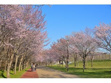 金太郎の池公園