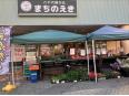 千葉県産の季節お野菜