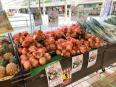 白子町の新玉ねぎ