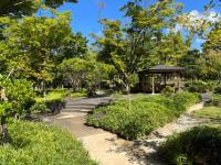 植栽とベンチ