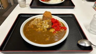 煮込みカツカレー
