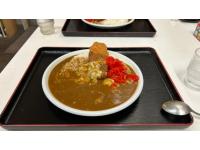 煮込みカツカレー