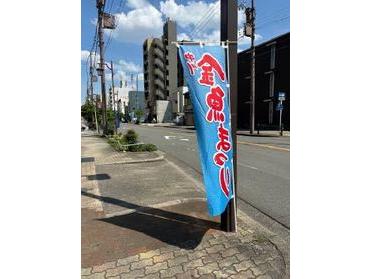 中川金魚まつり